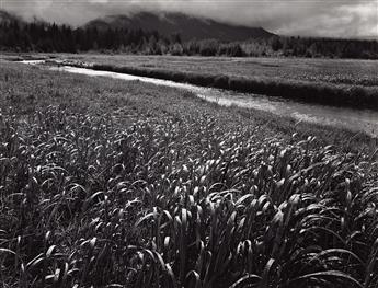 ANSEL ADAMS (1902-1984) Rain, Beartrack Cove, Glacier Bay National Monument, Alaska. 1949; printed 1970s.                                        